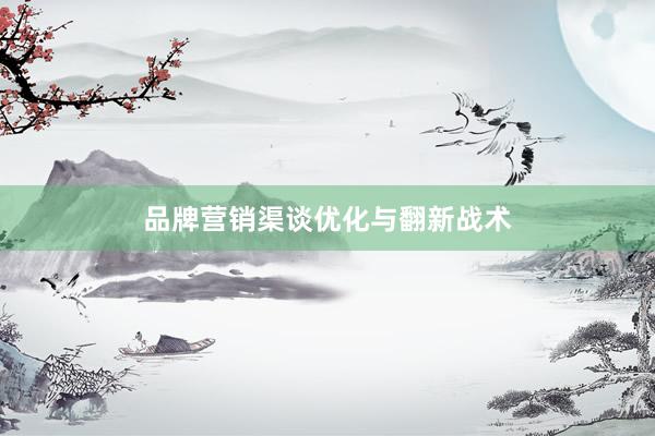 品牌营销渠谈优化与翻新战术